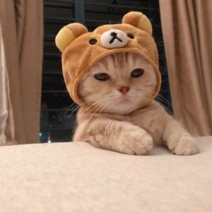 Meet your Posher, Jameel